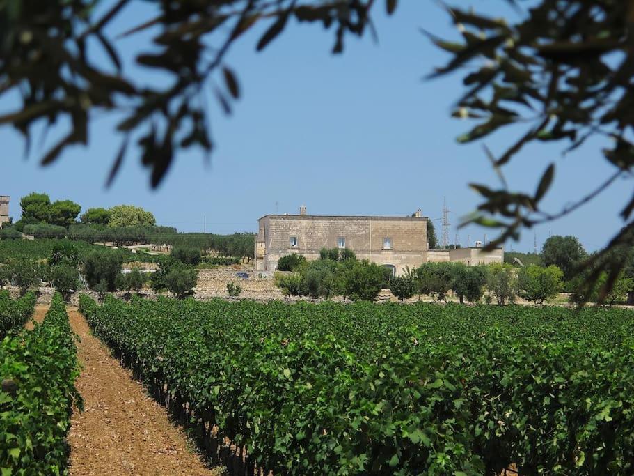 빌라 카스텔리 Masseria Angiulli Piccolo Contrada Angiulli 74023 Grottaglie 빌라 외부 사진